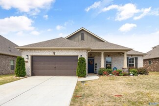 12927 Coppertop Ln, Madison, AL 35756
