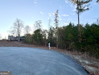 103 Branch Dr, Woodstock, GA 30188