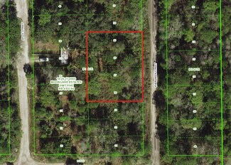 Lot 25-28 Evergreen St, Moon Lake Estates, FL 34654