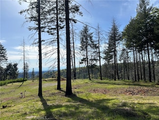 1400 Bader Mine Rd, Paradise, CA 95969