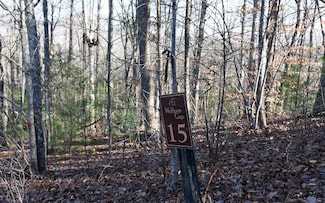 LT 15 Wolfpen Gap Ct, Hiawassee, GA 30546