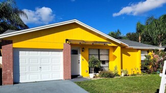 9203 Maybury Ct, Tampa, FL 33615