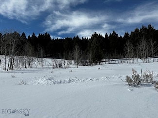 Parcel 23 Buffalo Lance Ranch, Cameron, MT 59720