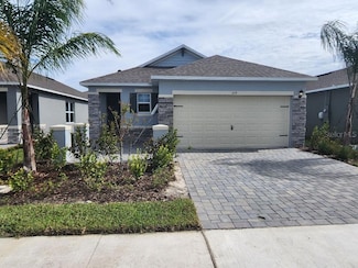 359 Caryota Ct, New Smyrna Beach, FL 32168