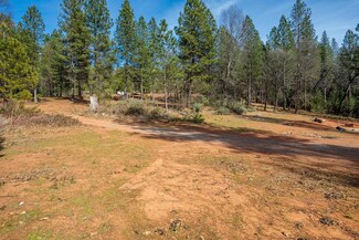 4900 Kelley Place, Garden Valley, CA 95633