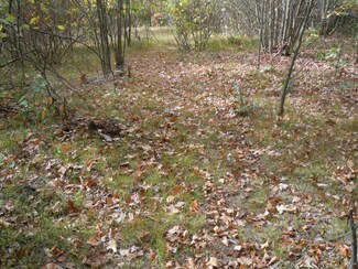 000 State Rd, Chase, MI 49623