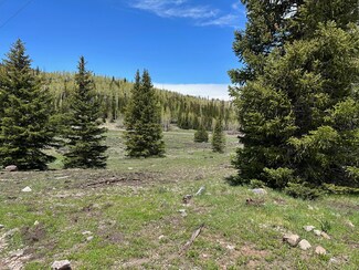 344 W 775 S, Brian Head, UT 84719