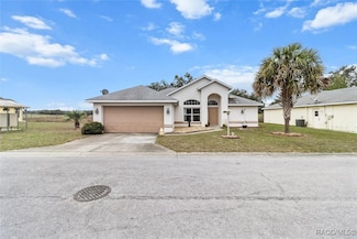 10501 S Drew Bryant Cir, Floral City, FL 34436