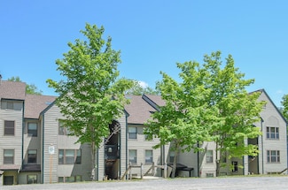 28 Fowler Rd Unit N203, Ludlow, VT 05149