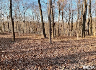 370 E Ten Mile Creek Rd, Germantown Hills, IL 61548