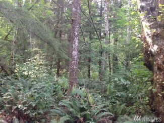 294 318th Ave SE, Ravensdale, WA 98051