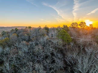 7288 Anderson County Road 404, Palestine, TX 75803