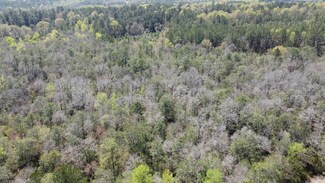 0 Otho Seals Rd, Lumberton, MS 39455