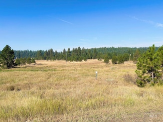 Lot 17 Whitefield Ln, McCall, ID 83638