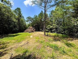 Lot 1 Tennessee 304, Ten Mile, TN 37880