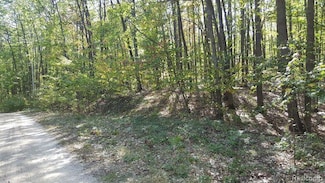 423 Mooncrest Dr, Lyon Township, MI 48653