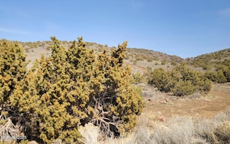 0 Lesaka Rd Unit 250050655, Sparks, NV 89441