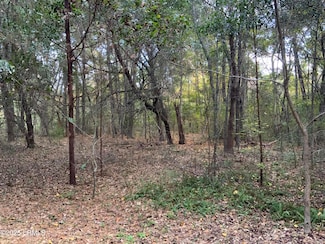 33 Pearl Harbor Dr, Seabrook, SC 29940