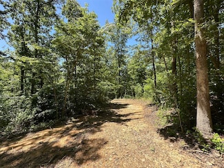 01 Riverside Benleo Rd, Bowling Green, KY 42101