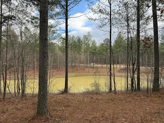 0 Farm Road #1051 Unit 1505492, Guild, TN 37340