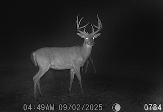 2160 State Route Y, Harrisburg, MO 65256