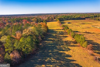 0 Pine Grove Church Rd Unit 10525757, Culloden, GA 31016