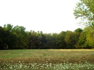 Lot 390 Bonnie Ct, Roberts Township, IL 61375