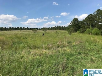 0 Sanie Rd Unit 878+/- Acres 851823, Odenville, AL 35120