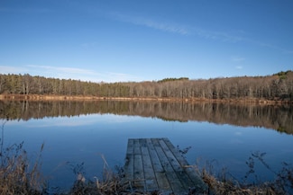 0 Clark Rd, Masonville, NY 13839