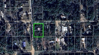 TBD Live Oak Dr, Plantersville, TX 77363