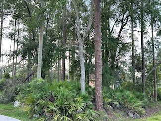 2050 10th Ave, Deland, FL 32724
