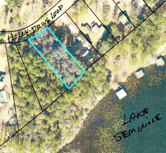 Lot 1014 Holly Drive Loop, Donalsonville, GA 39845