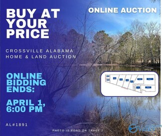 Tract 3 6.1 Acr County Road 24, Crossville, AL 35962