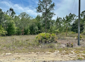 00 S Haven Ct, Dunnellon, FL 34431