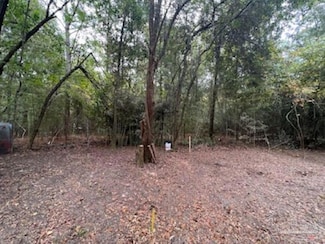 1329 Beaver Dam Rd, Bonifay, FL 32425