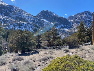 00 Wyoming St Unit 29, June Lake, CA 93529