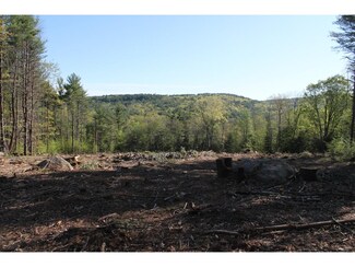 Lot 98-2 Mccollum, New Boston, NH 03070