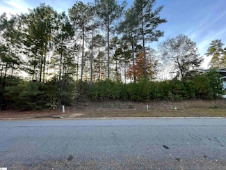 17 Tee Box Ln, Travelers Rest, SC 29690