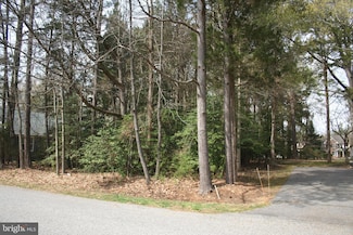 14590 Honeysuckle Way, Swan Point, MD 20645
