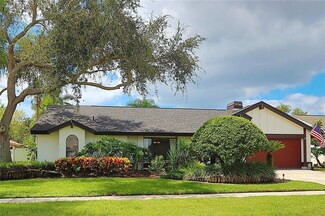 4168 Saltwater Blvd, Tampa, FL 33615