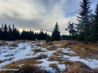 17502 Chefornak St, Happy Valley, AK 99639