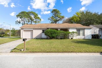 10305 Licorice Way, Orlando, FL 32821