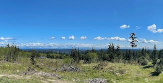 0 Woodland Ln Unit NWM2362874, Freeland, WA 98241