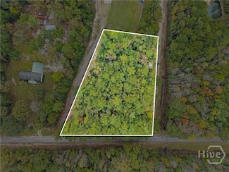 0 Clyo Shawnee Rd Unit SA342552, Springfield, GA 31329