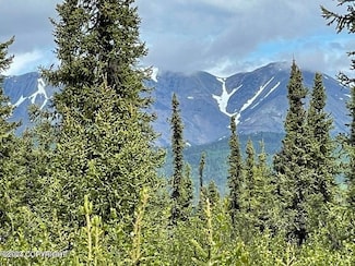 04 Homestead Trail, Slana, AK 99586