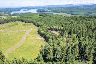 0 Silverwood Dr Unit Lot C2 NWM2388996, Castle Rock, WA 98611