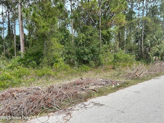 1474 Hardey Rd SW, Palm Bay, FL 32908