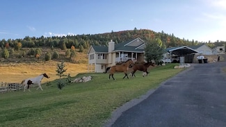 7303 S Pheasant Dr, Lava Hot Springs, ID 83246