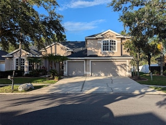 19116 Nature Palm Ln, Tampa, FL 33647