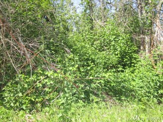 0 B St, Port Hadlock, WA 98339